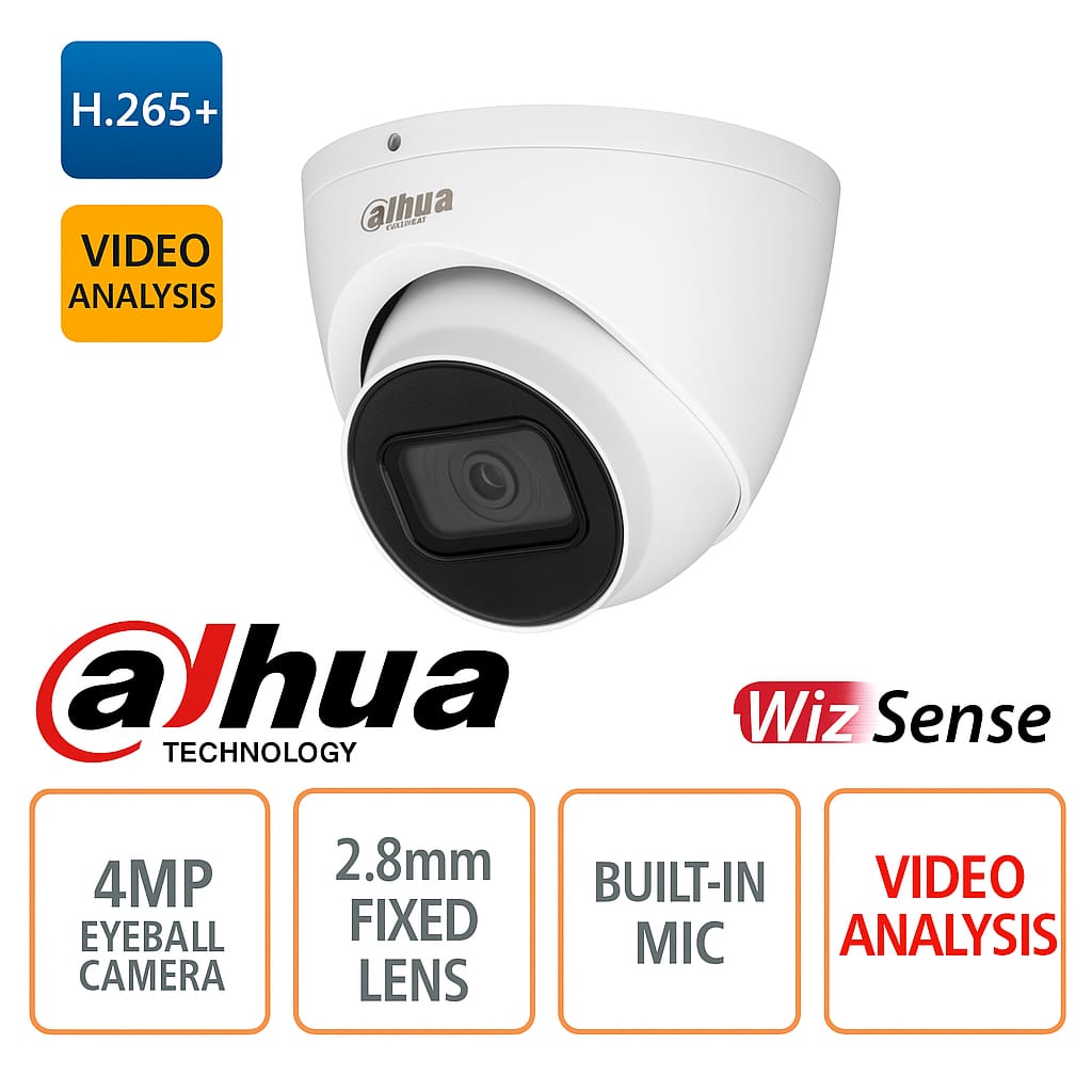 Telecamera IP POE ONVIF® Eyeball 4MP - Ottica 2.8mm - Video Analisi - IR 30m